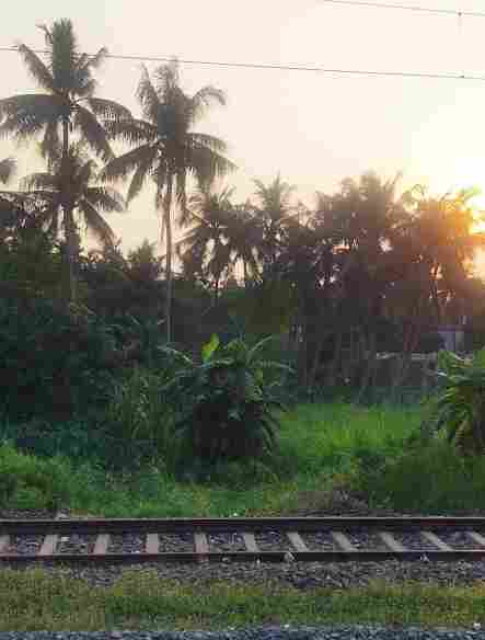 ICSE Bengali Sankalita (বাংলা সংকলিতা): Class-9